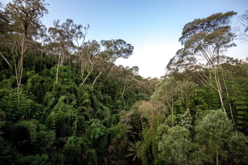 null: 11ª foto da galeria de imagens do imóvel