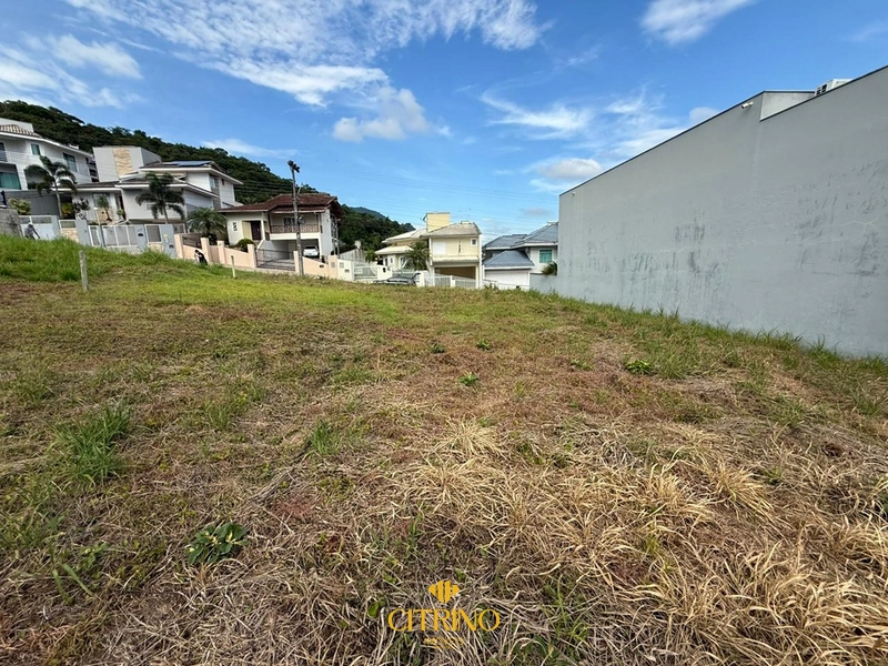 null: 3ª foto da galeria de imagens do imóvel