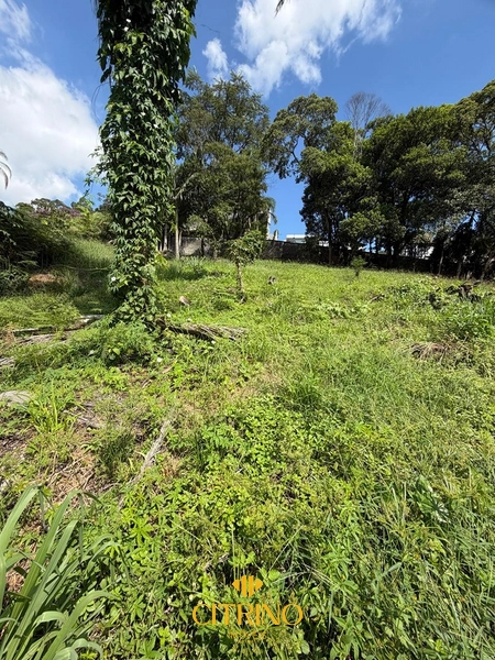 null: 2ª foto da galeria de imagens do imóvel