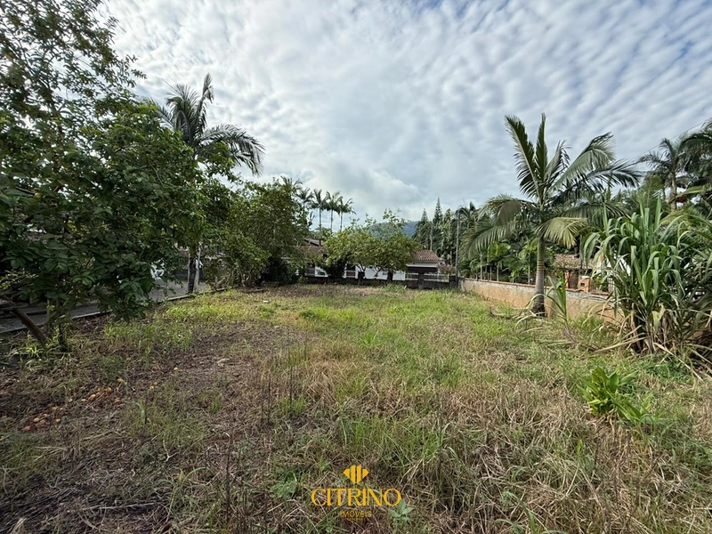 null: 3ª foto da galeria de imagens do imóvel