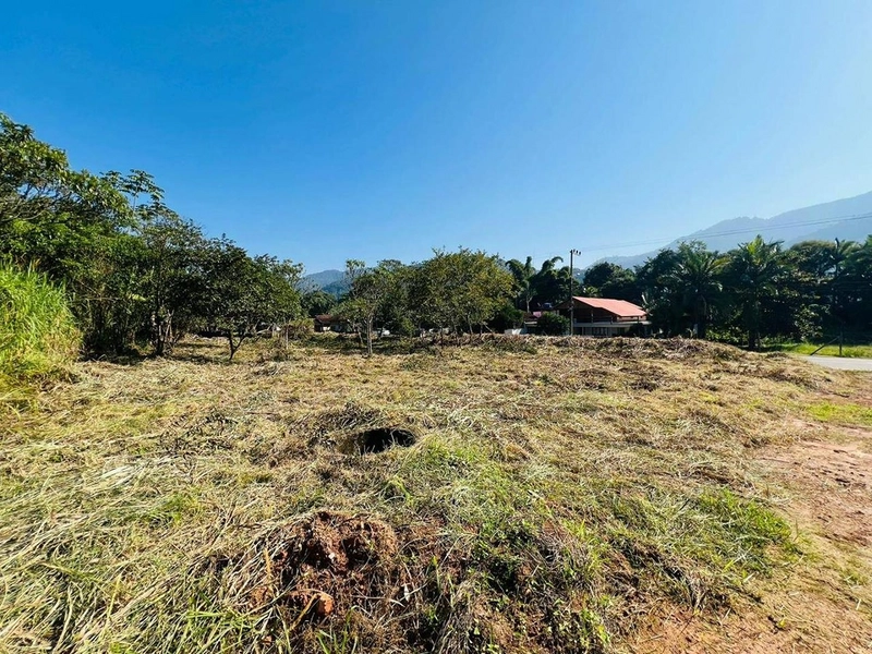 null: 5ª foto da galeria de imagens do imóvel