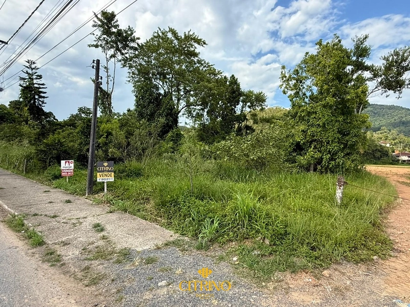 null: 4ª foto da galeria de imagens do imóvel