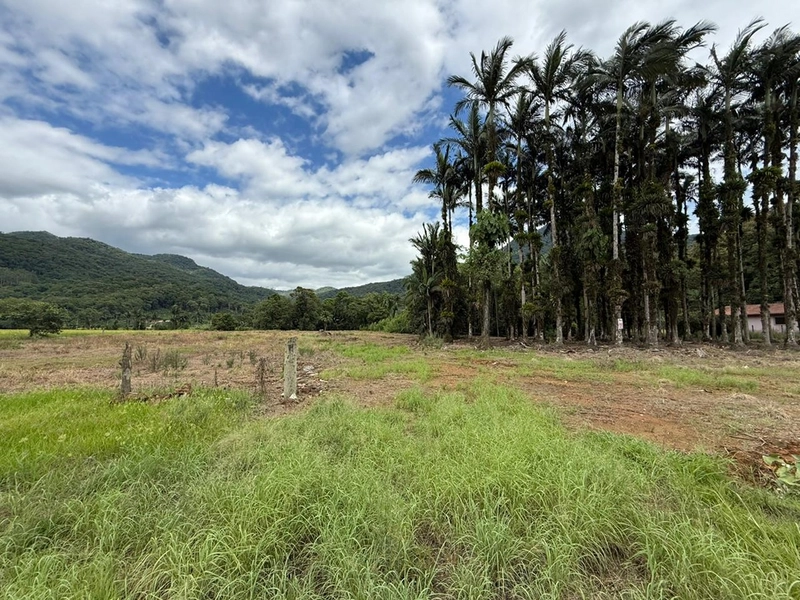 null: 4ª foto da galeria de imagens do imóvel