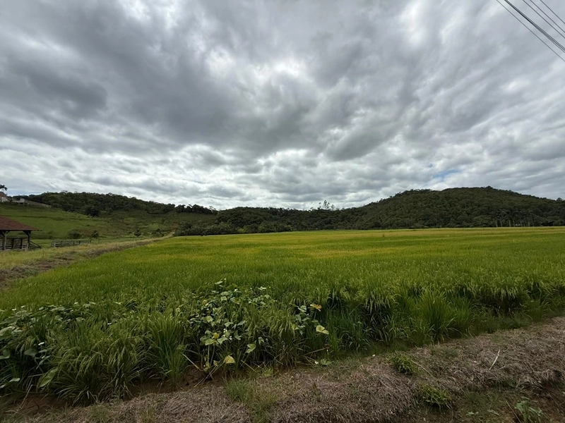 null: 3ª foto da galeria de imagens do imóvel