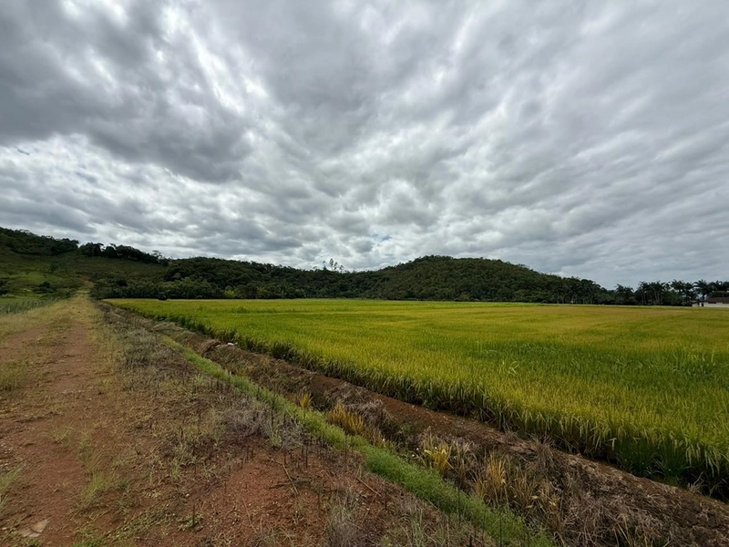 null: 2ª foto da galeria de imagens do imóvel