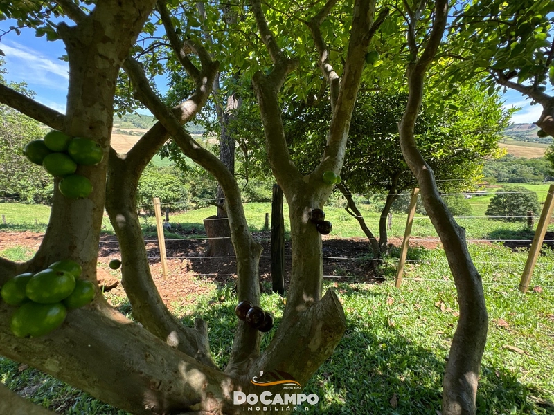 null: 14ª foto da galeria de imagens do imóvel
