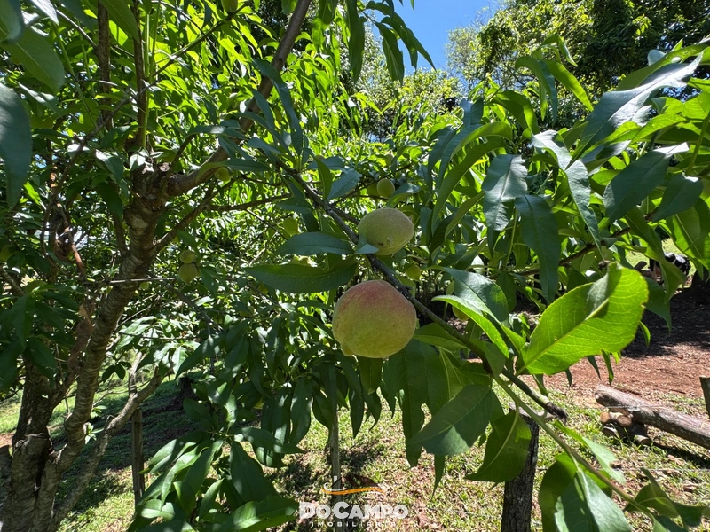 null: 6ª foto da galeria de imagens do imóvel