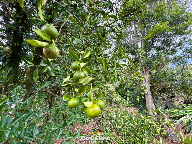 null: 8ª foto da galeria de imagens do imóvel