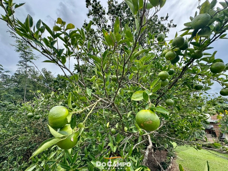 null: 7ª foto da galeria de imagens do imóvel