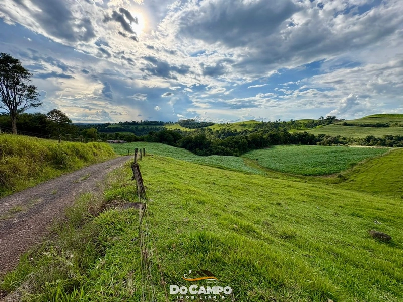 null: 29ª foto da galeria de imagens do imóvel