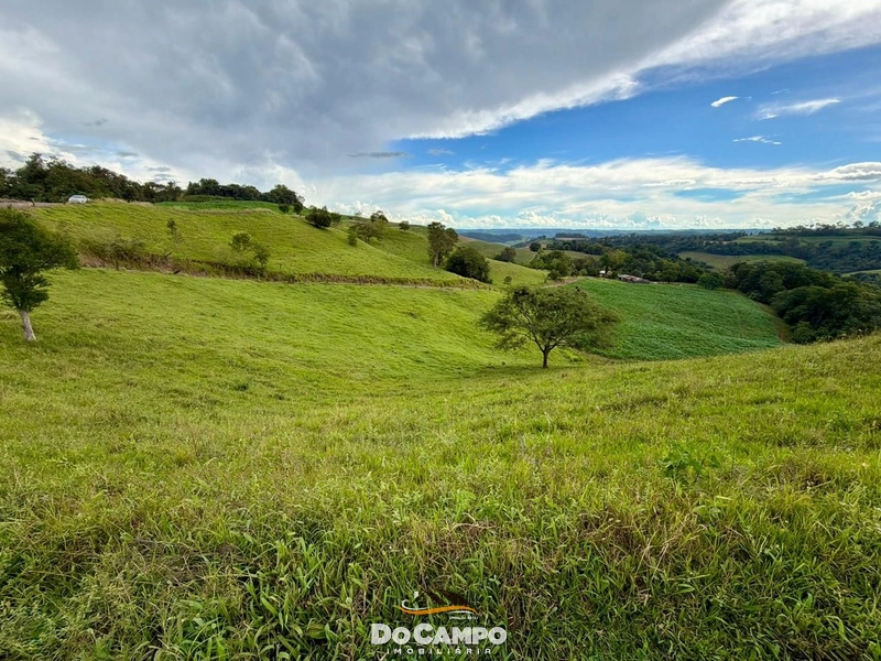 null: 22ª foto da galeria de imagens do imóvel