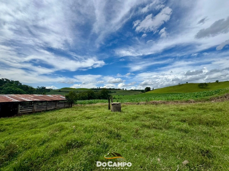 null: 17ª foto da galeria de imagens do imóvel
