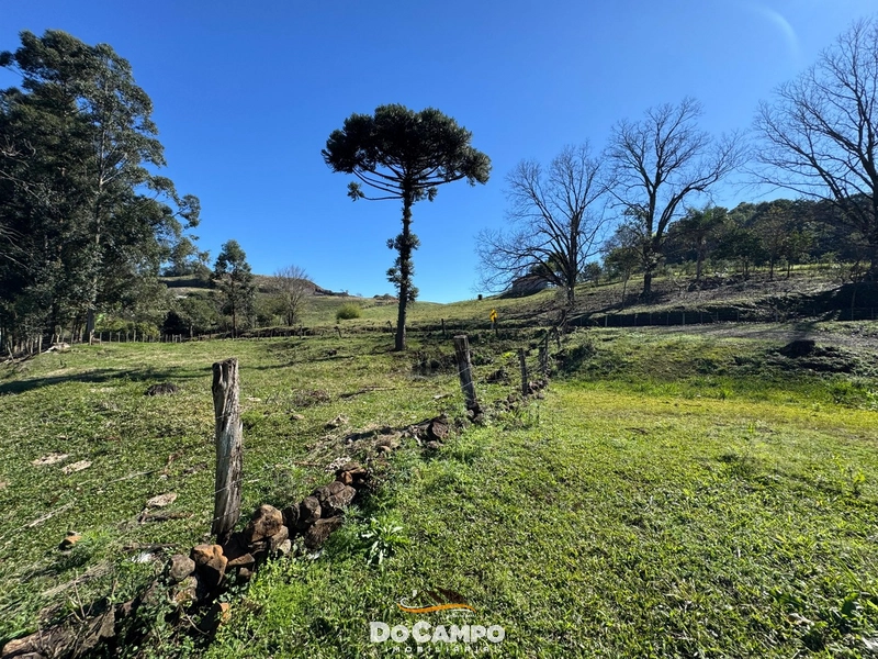 null: 12ª foto da galeria de imagens do imóvel