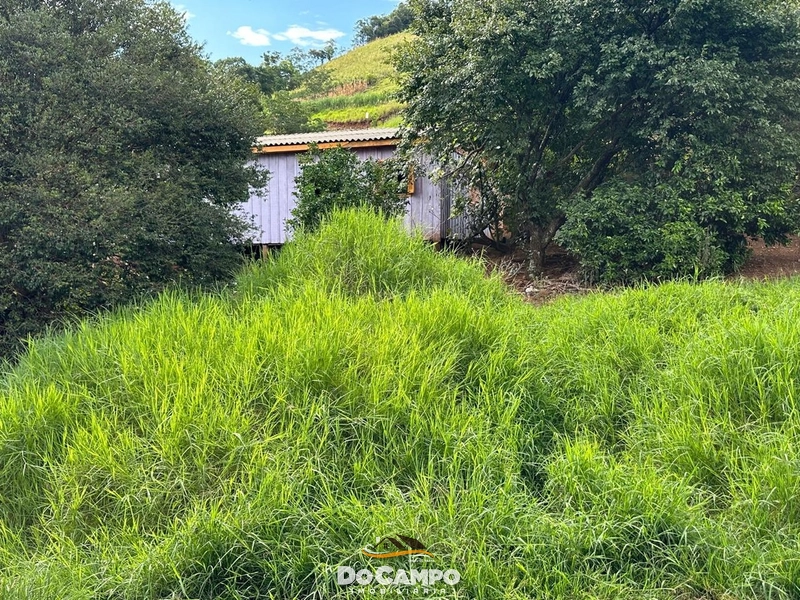 null: 16ª foto da galeria de imagens do imóvel