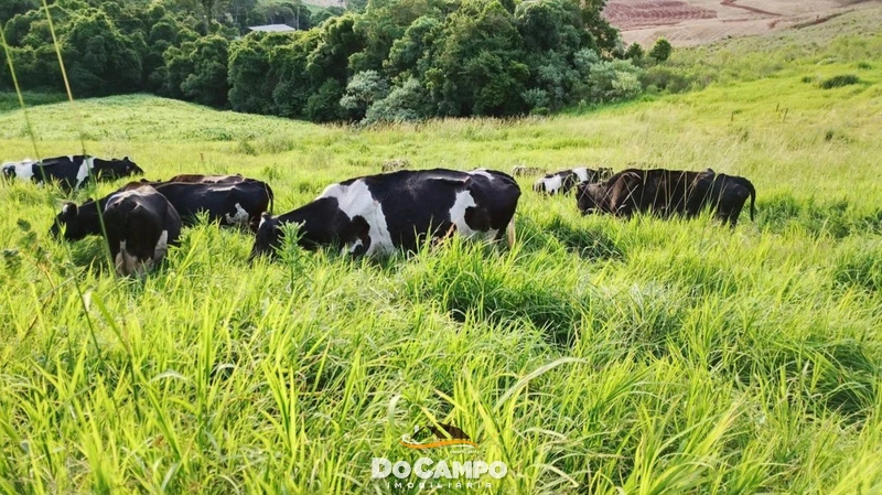 null: 8ª foto da galeria de imagens do imóvel