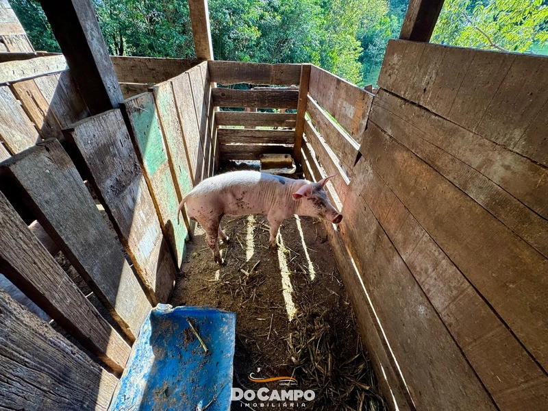 null: 8ª foto da galeria de imagens do imóvel