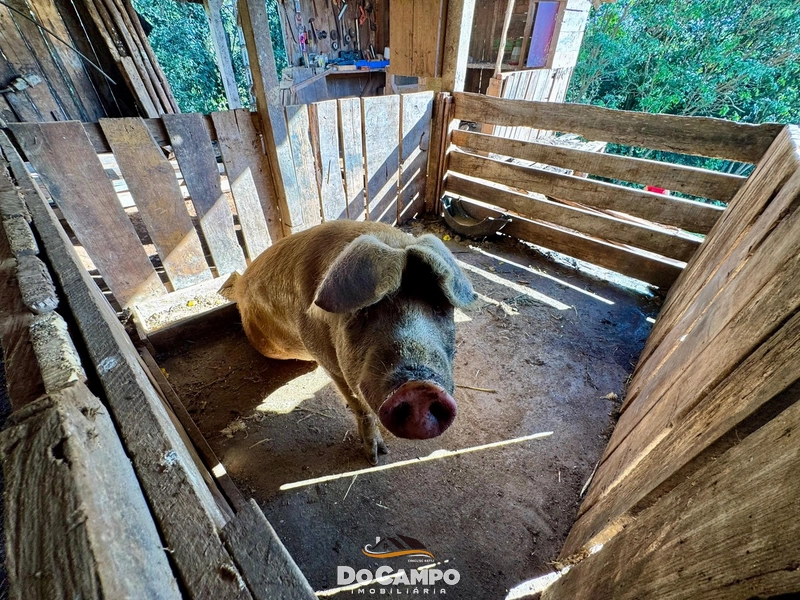 null: 6ª foto da galeria de imagens do imóvel