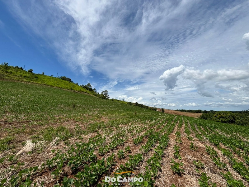 null: 10ª foto da galeria de imagens do imóvel