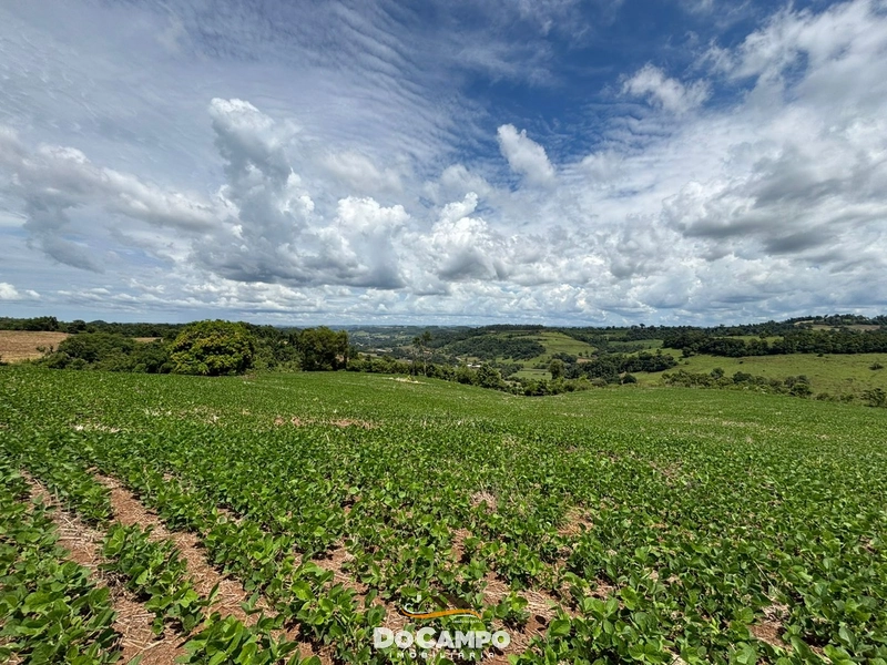 null: 12ª foto da galeria de imagens do imóvel