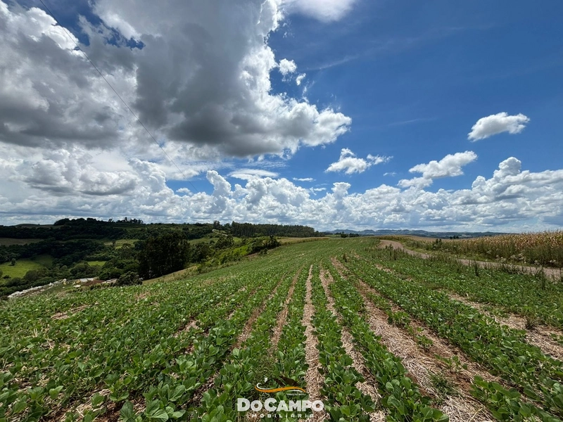 null: 1ª foto da galeria de imagens do imóvel