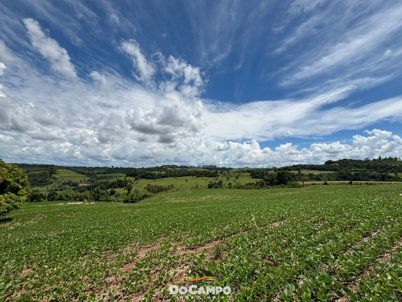 null: 15ª foto da galeria de imagens do imóvel