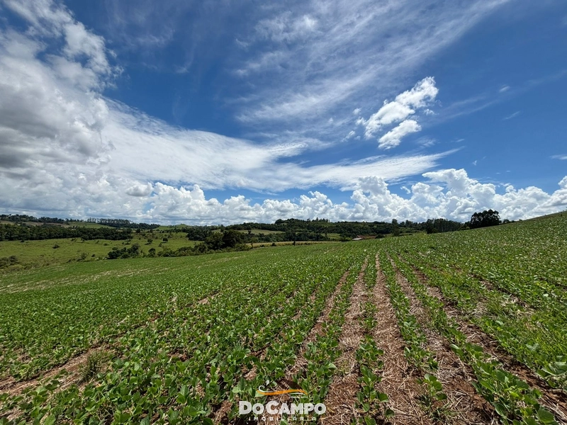 null: 13ª foto da galeria de imagens do imóvel