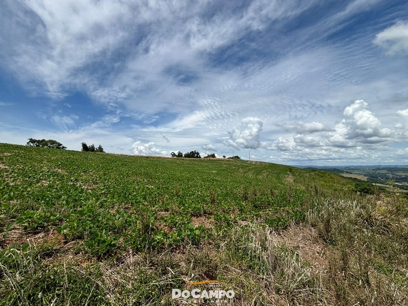 null: 11ª foto da galeria de imagens do imóvel