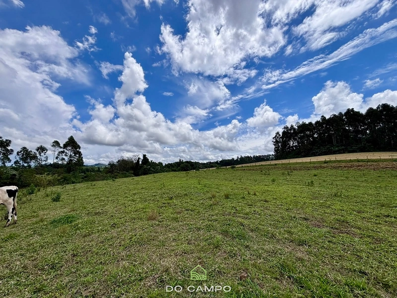 null: 13ª foto da galeria de imagens do imóvel