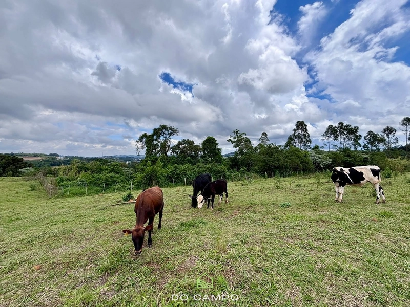 null: 7ª foto da galeria de imagens do imóvel
