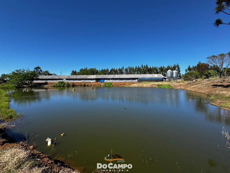 null: 30ª foto da galeria de imagens do imóvel