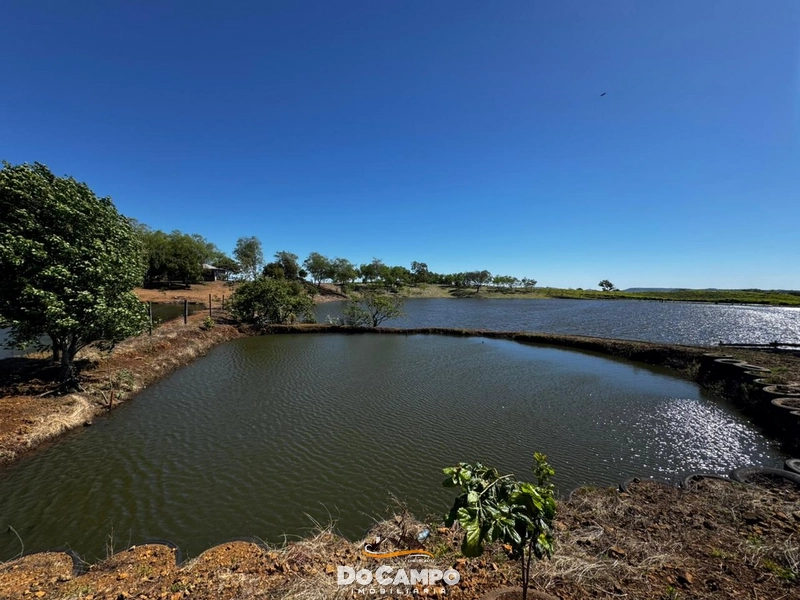 null: 28ª foto da galeria de imagens do imóvel