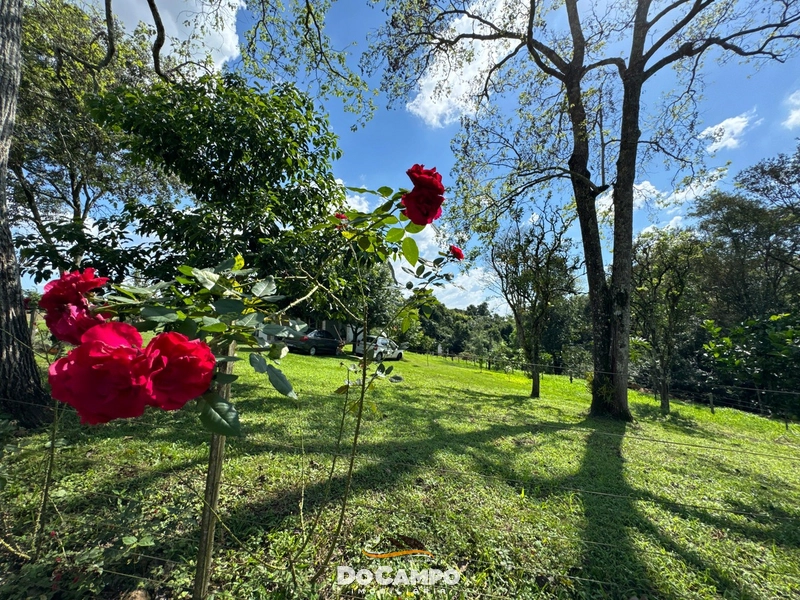 null: 13ª foto da galeria de imagens do imóvel