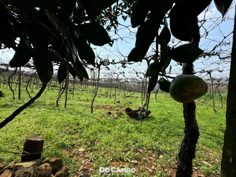 null: 13ª foto da galeria de imagens do imóvel