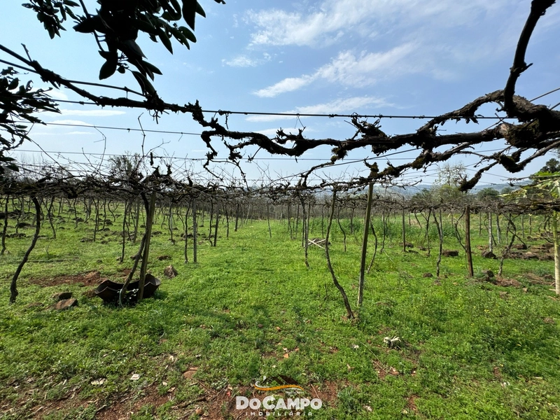 null: 12ª foto da galeria de imagens do imóvel