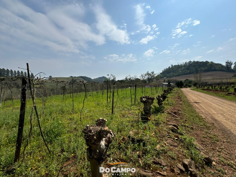 null: 11ª foto da galeria de imagens do imóvel