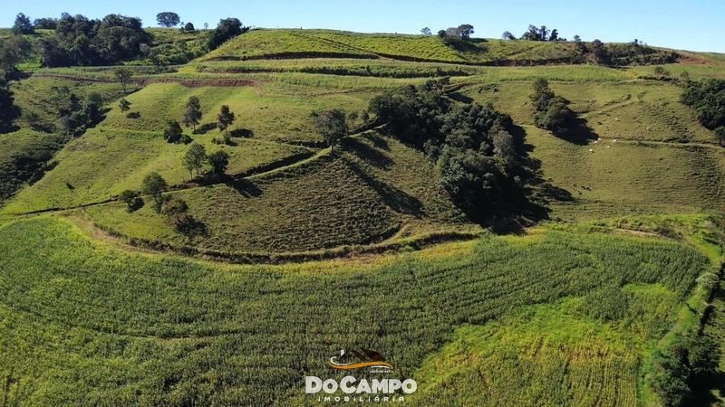 null: 3ª foto da galeria de imagens do imóvel