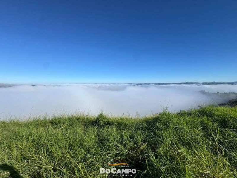 null: 7ª foto da galeria de imagens do imóvel