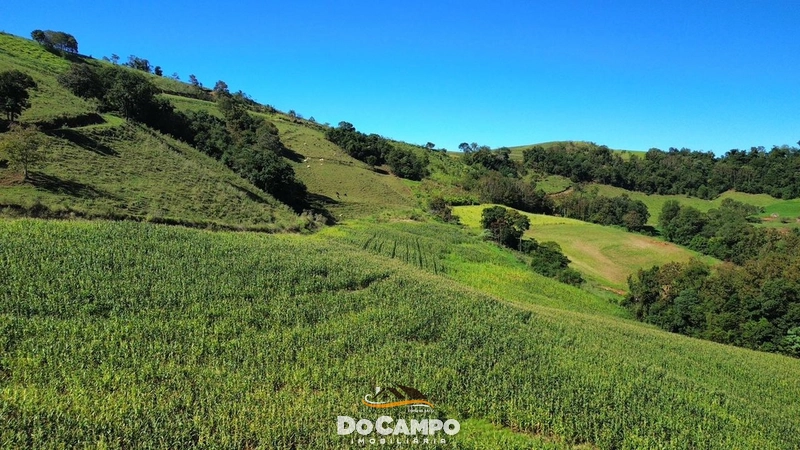 null: 10ª foto da galeria de imagens do imóvel