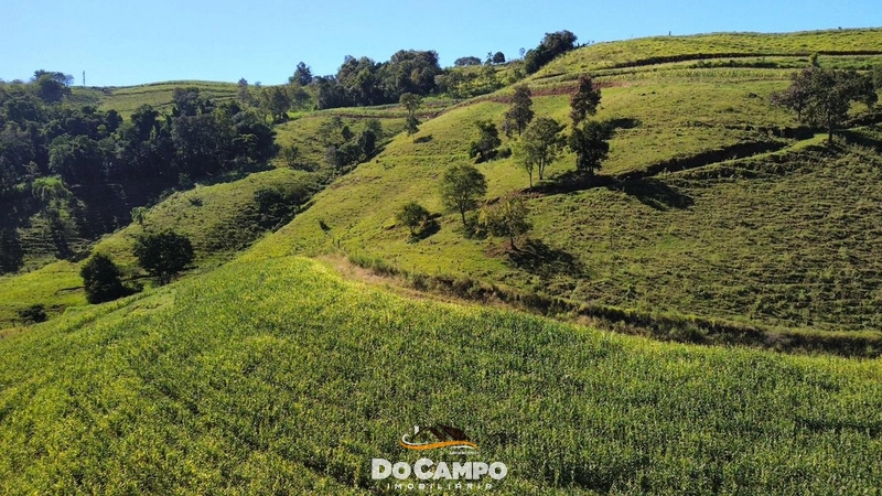 null: 12ª foto da galeria de imagens do imóvel