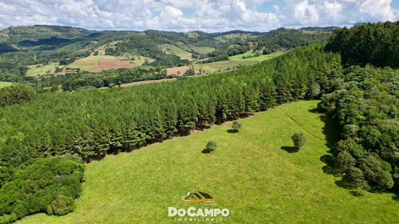 null: 3ª foto da galeria de imagens do imóvel