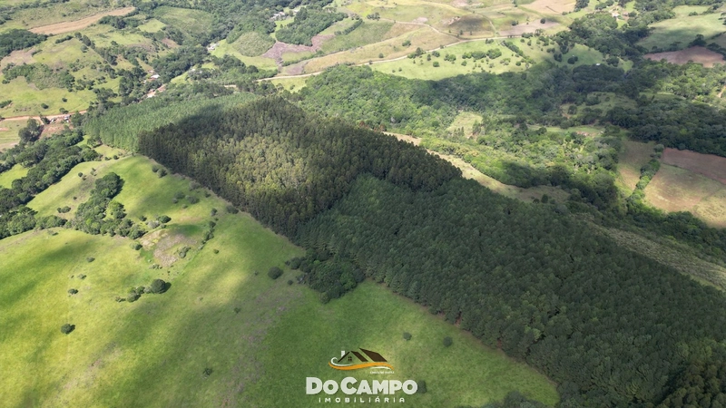 null: 14ª foto da galeria de imagens do imóvel