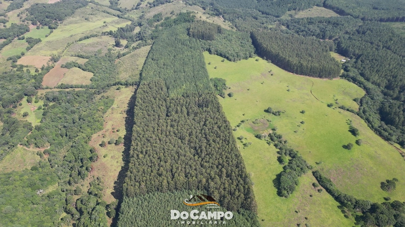 null: 7ª foto da galeria de imagens do imóvel
