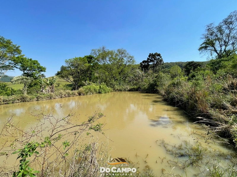 null: 16ª foto da galeria de imagens do imóvel