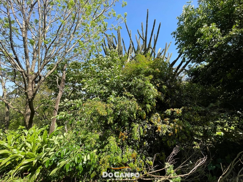 null: 42ª foto da galeria de imagens do imóvel