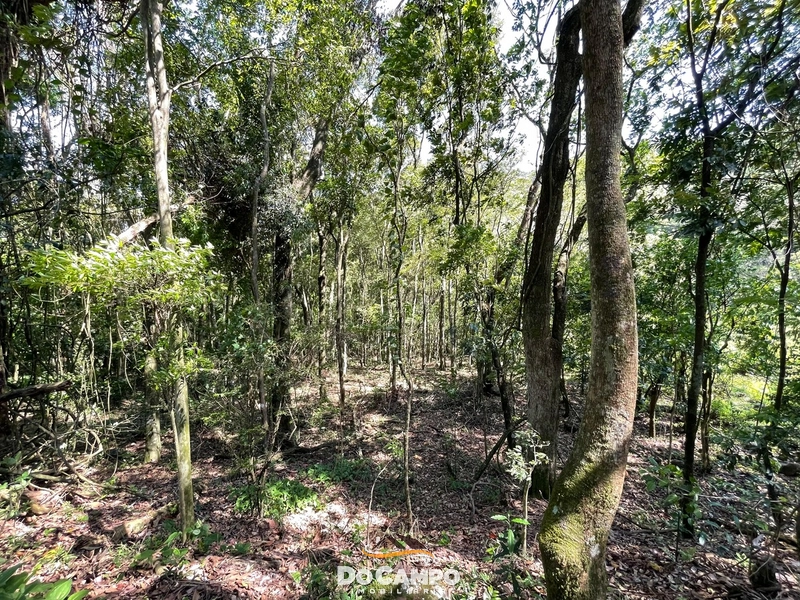 null: 27ª foto da galeria de imagens do imóvel