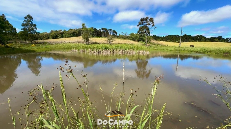 null: 2ª foto da galeria de imagens do imóvel
