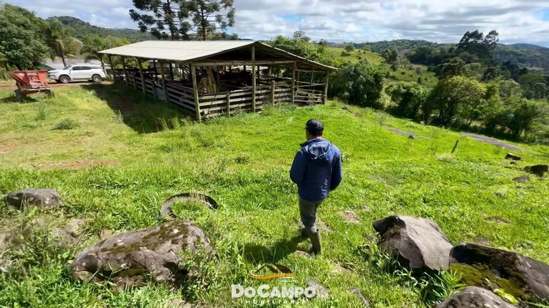 null: 10ª foto da galeria de imagens do imóvel