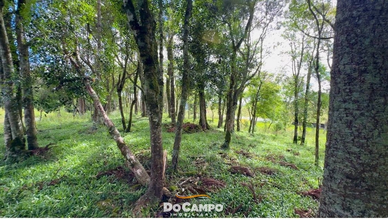 null: 13ª foto da galeria de imagens do imóvel