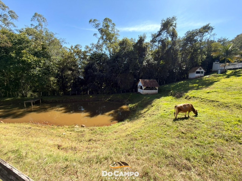 null: 12ª foto da galeria de imagens do imóvel