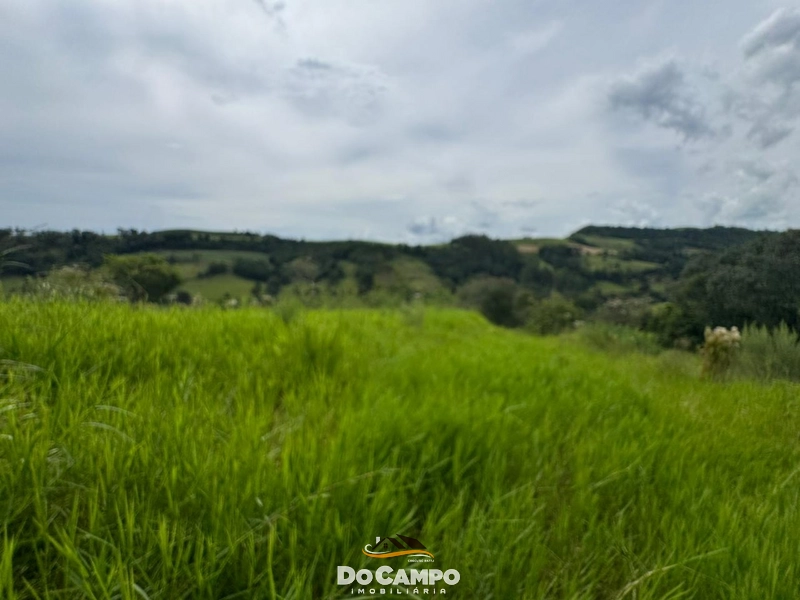 null: 19ª foto da galeria de imagens do imóvel